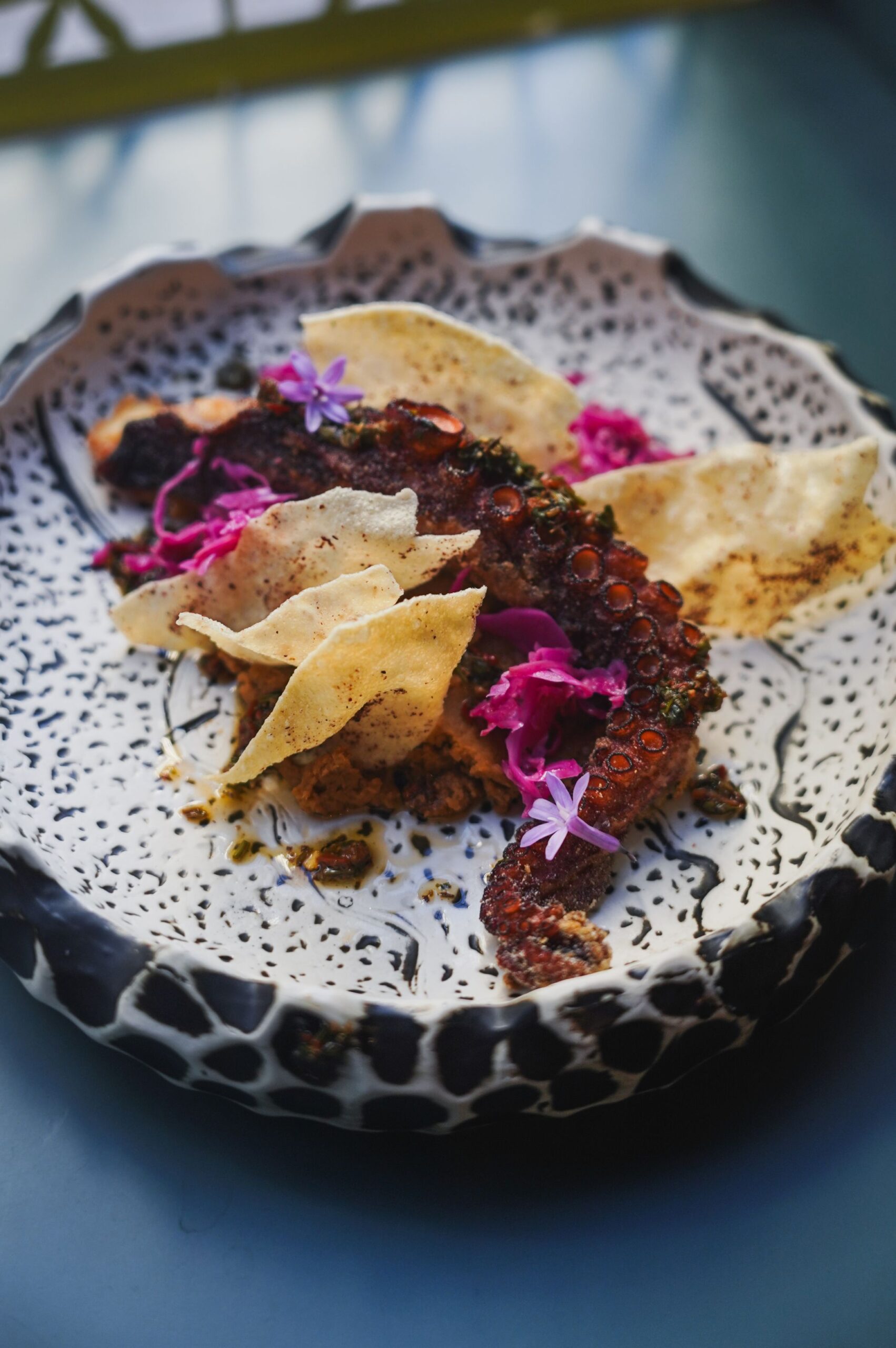 Pulpo - del atlántico