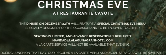 cena-navidad-en-movil