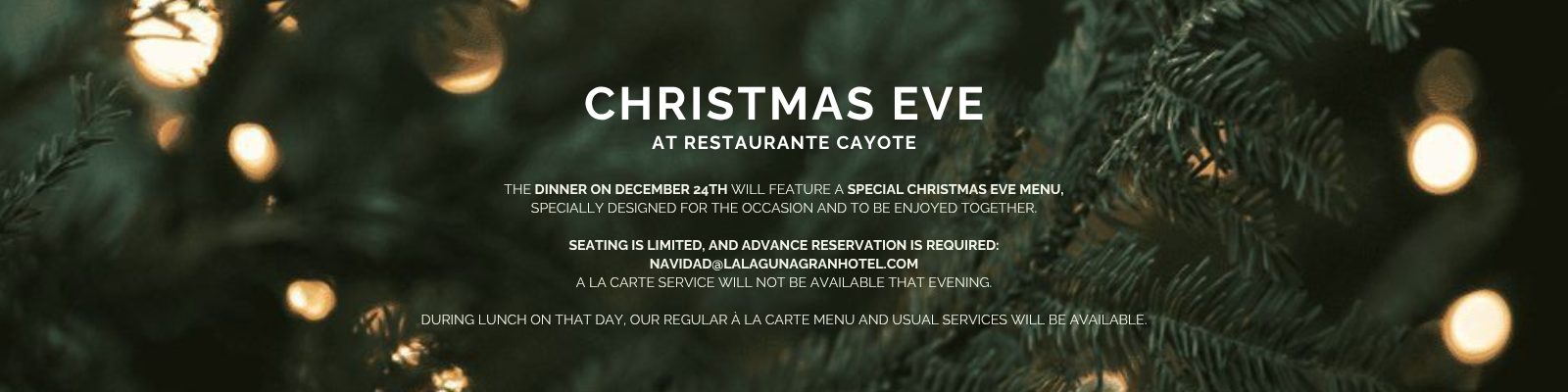 cena-navidad-en
