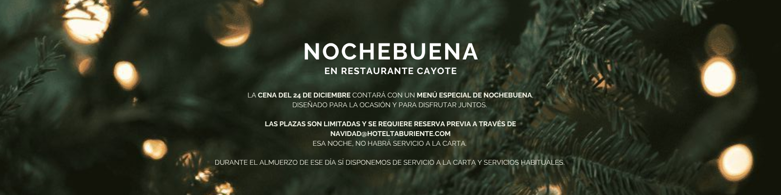 cena-navidad-es